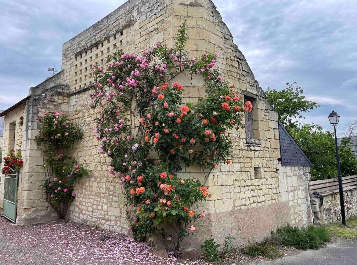 Le Colombier Apartment Le Coudray-Macouard Bagian luar foto